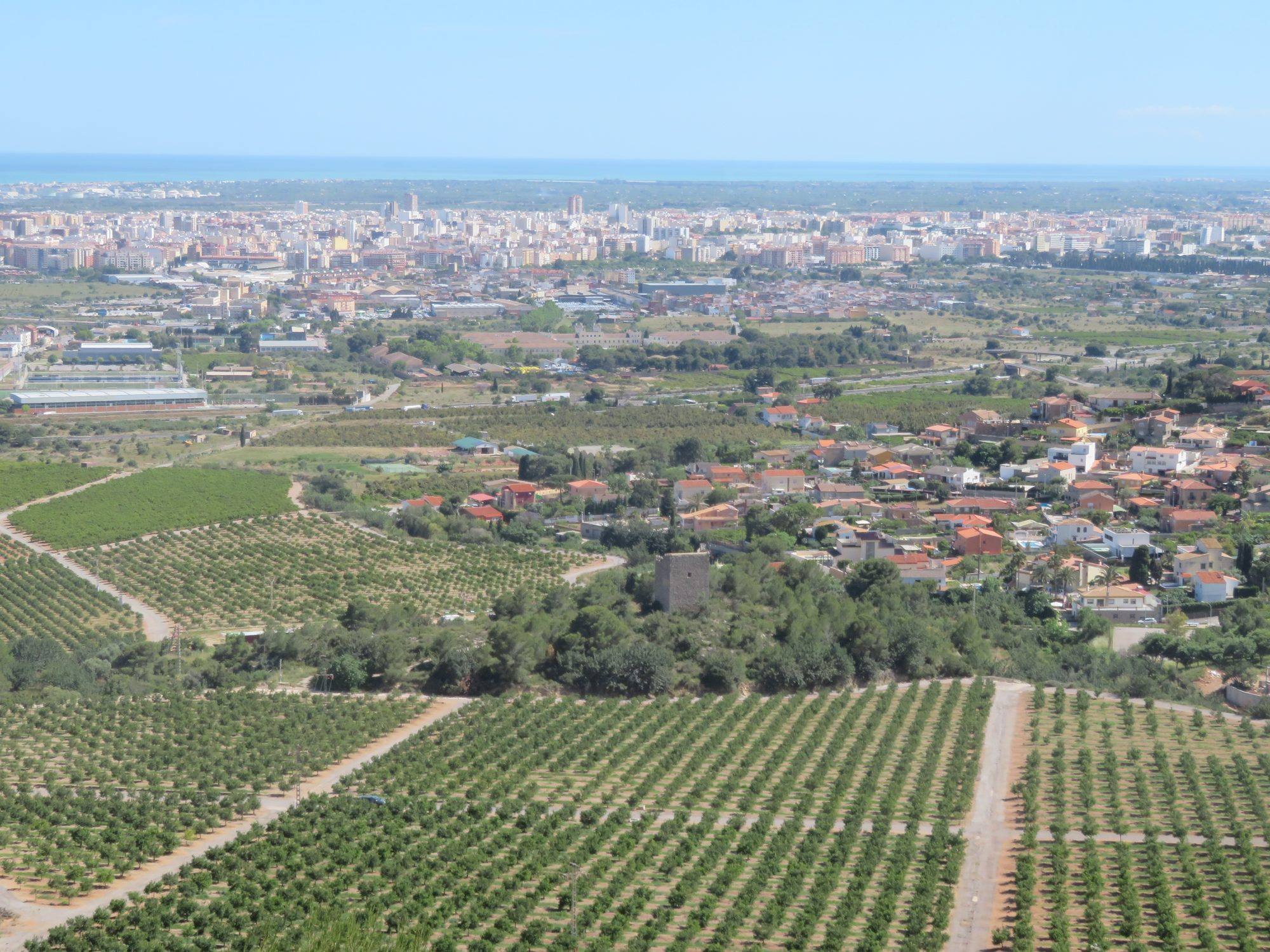 Looking down from the hills over La Plana: rows of citrus trees on red earth in the foreground, an old square stone tower among pines, a district of villas, then the city of Castellón de la Plana spread across the plain to the Mediterranean on the horizon